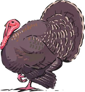 Colorful Turkey Illustration PNG Image