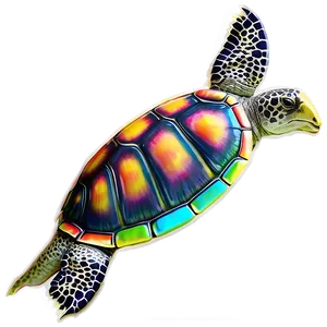 Colorful Turtle Artwork Png Tph47 PNG Image