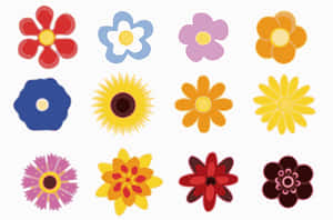 Colorful Vector Flowers Illustration PNG image with transparent background