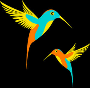 Colorful Vector Hummingbirds PNG image with transparent background