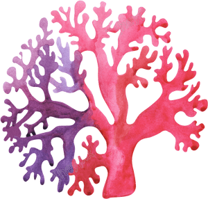 Sea World Water Color Clipart , Png Download - Coral Clipart Png, Transparent Png PNG with transparent background