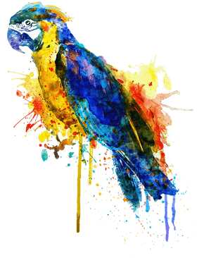 Bleed Area May Not Be Visible - Parrot Art PNG image with transparent background