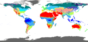 Colorful World Map PNG Image