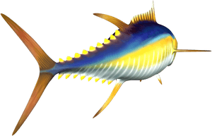 And Clip Art - Yellowfin Tuna Png, Transparent Png PNG