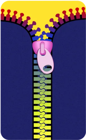 Colorful Zipper Illustration PNG Image