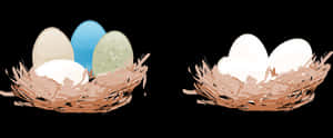 Colorfuland Plain Eggsin Nests PNG image with transparent background