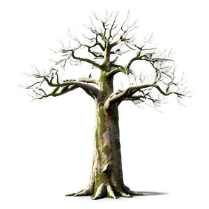 Colossal Ash Tree Png 06262024 PNG Image