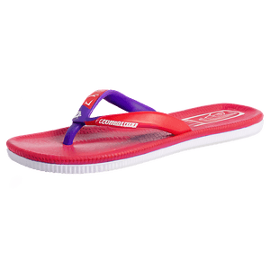 Comfortable Slippers PNG 06202024 PNG