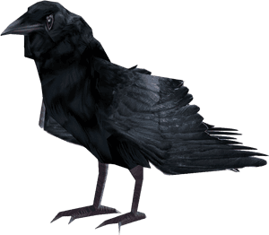 Common Raven Png Photo - Fallout 4 Raven, Transparent Png PNG image with transparent background
