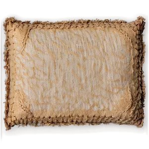 Compact Canvas Texture Png Bbf PNG Image