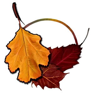 Connecticut Fall Foliage Png Jvo PNG Image