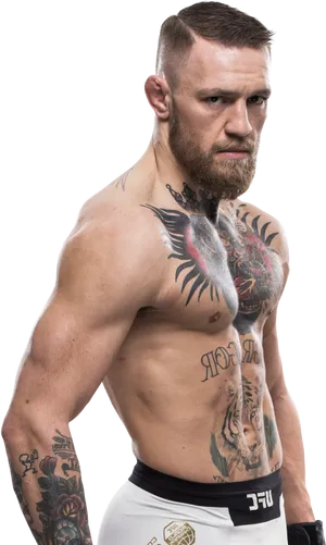 Conor Mc Gregor Tattooed Fighter Pose PNG Image