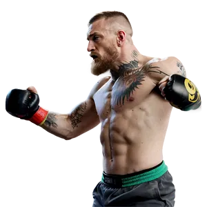 Conor Mcgregor In Fight Stance Png Dis75 PNG Image