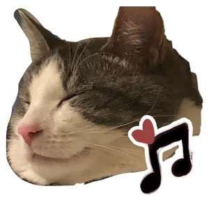 Contented Cat Music Love Sticker.png PNG Image