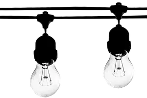 Contrasting Lightbulbs Black Background PNG Image