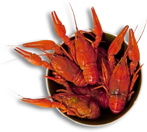 Cooked Crayfishin Bowl PNG Image