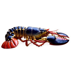 Cooked Lobster PNG ucj56 PNG image with transparent background