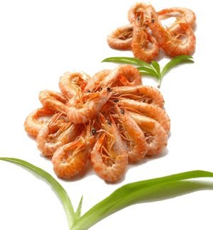 Grilled Shrimp Png - Shrimp And Prawn, Transparent Png PNG