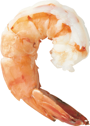 Shrimp Png, Transparent Png PNG with transparent background
