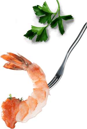 Shrimps Png , Png Download - Caridean Shrimp, Transparent Png PNG with transparent background
