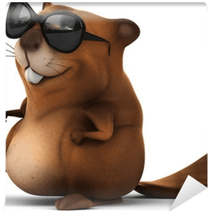 Beaver PNG image with transparent background