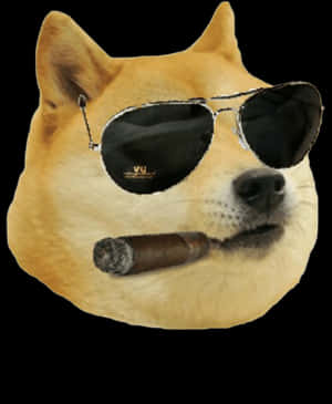 Cool Doge With Sunglassesand Cigar.jpg PNG image with transparent background