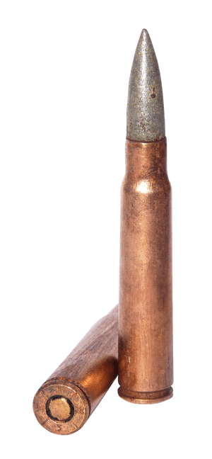 Copper Bullet Cartridge Standing PNG with transparent background