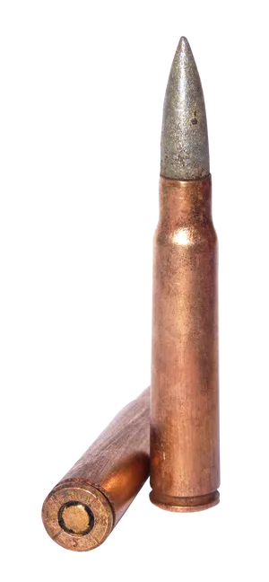 Copper Bullet Cartridge Standing PNG Image