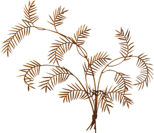 Gold Metal Bamboo Leaf - Transparent Wall Art Png, Png Download PNG