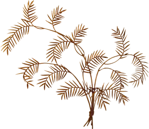 Copper Fern Artwork PNG Image