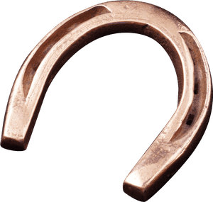 Transparent Vintage Horseshoe Png - Copper Horseshoe, Png Download PNG