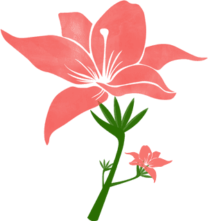 2019 Popular Colors Flowers Yellow Green Leaves Lively - Flower Coral Color Clipart, HD Png Download PNG with transparent background
