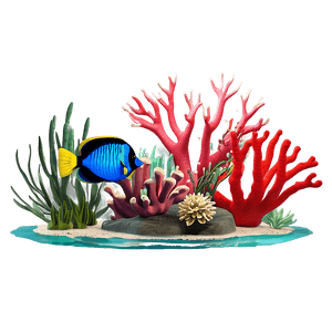 Coral Reef Scene PNG 05242024 PNG image with transparent background