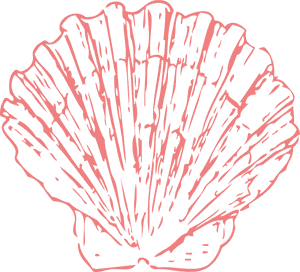 Seashell Clipart Transparent Background, HD Png Download PNG image with transparent background