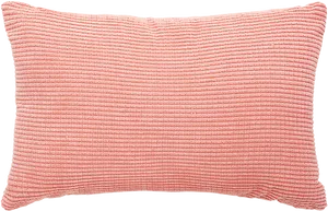 Coral Textured Decorative Pillow PNG Image