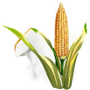 Corn Field Stalk Png Lhj58 PNG Image