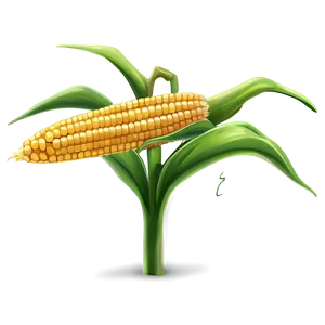 Corn Stalk Illustration Png Sim PNG Image