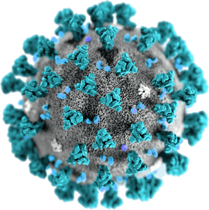 Coronavirus Disease Png Transparent Image - Coronavirus Png, Png Download PNG image with transparent background