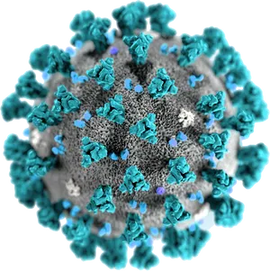 Coronavirus Closeup3 D Rendering PNG Image