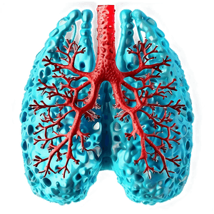 Coronavirus Infected Lungs Image PNG 65 PNG image with transparent background