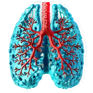 Coronavirus Infected Lungs Image Png 65 PNG Image