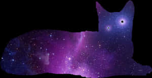 Cosmic Cat Nebula Silhouette PNG image with transparent background