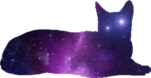Cosmic Cat Nebula Silhouette PNG Image