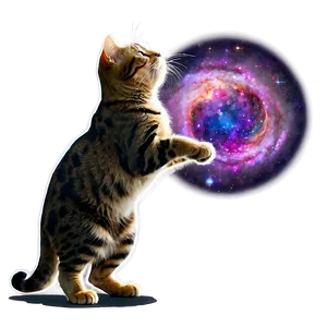 Cosmic Cat Png 06242024 PNG Image