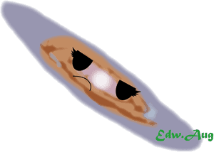 Cosmic_ Comet_ Cartoon_ Vector PNG image with transparent background