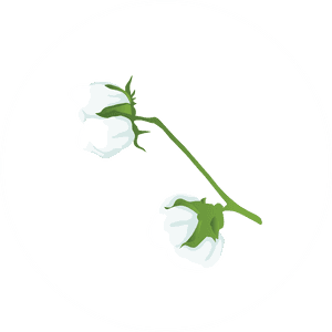 Cotton Value Chain Comprehensive Agriculture And Rural, HD Png Download PNG with transparent background