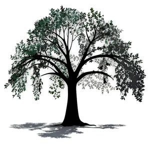 Countryside Tree Shadow Png Lqe PNG Image