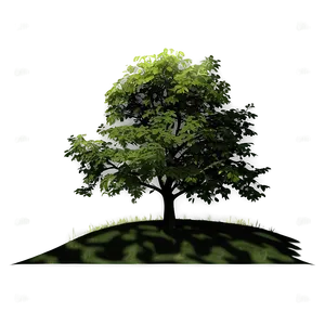 Countryside Tree Shadow Png Oms PNG Image