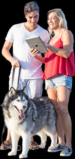 Couple Walking Dog Cutout, HD Png Download PNG image with transparent background