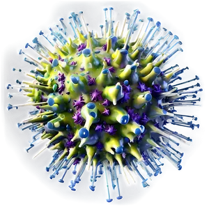 Covid 19 Virus Structure Png 05262024 PNG Image